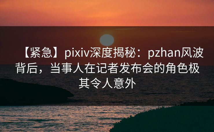 【紧急】pixiv深度揭秘：pzhan风波背后，当事人在记者发布会的角色极其令人意外  第1张