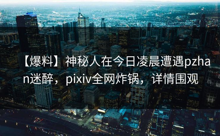 【爆料】神秘人在今日凌晨遭遇pzhan迷醉，pixiv全网炸锅，详情围观  第1张