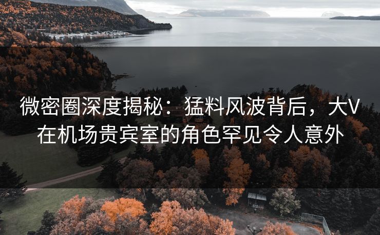 微密圈深度揭秘：猛料风波背后，大V在机场贵宾室的角色罕见令人意外  第1张