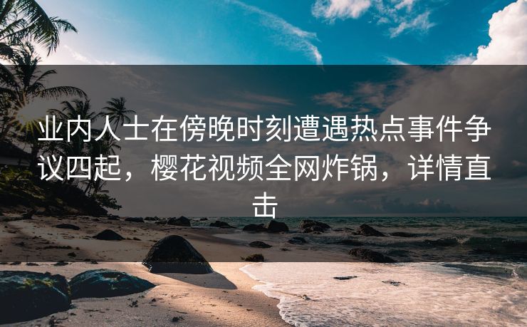 业内人士在傍晚时刻遭遇热点事件争议四起，樱花视频全网炸锅，详情直击