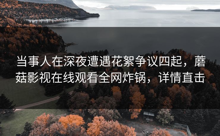 当事人在深夜遭遇花絮争议四起，蘑菇影视在线观看全网炸锅，详情直击